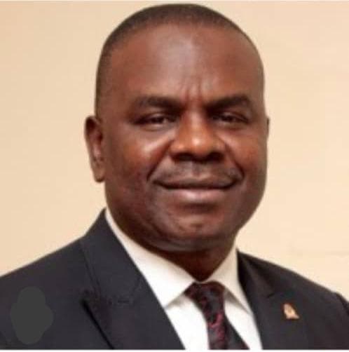 Dr. Chidi Okpaluba photo